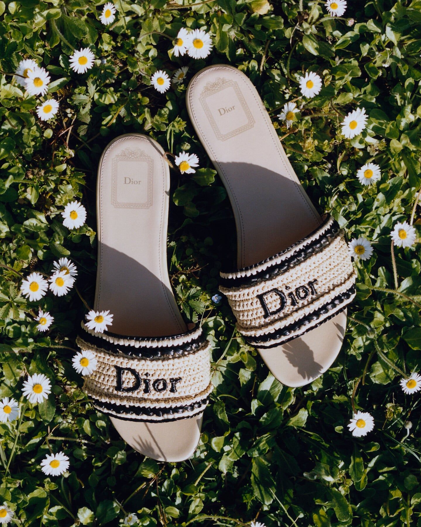 DIOR | ディオリビエラ｜2026年フォール｜ディオール公式オンライン