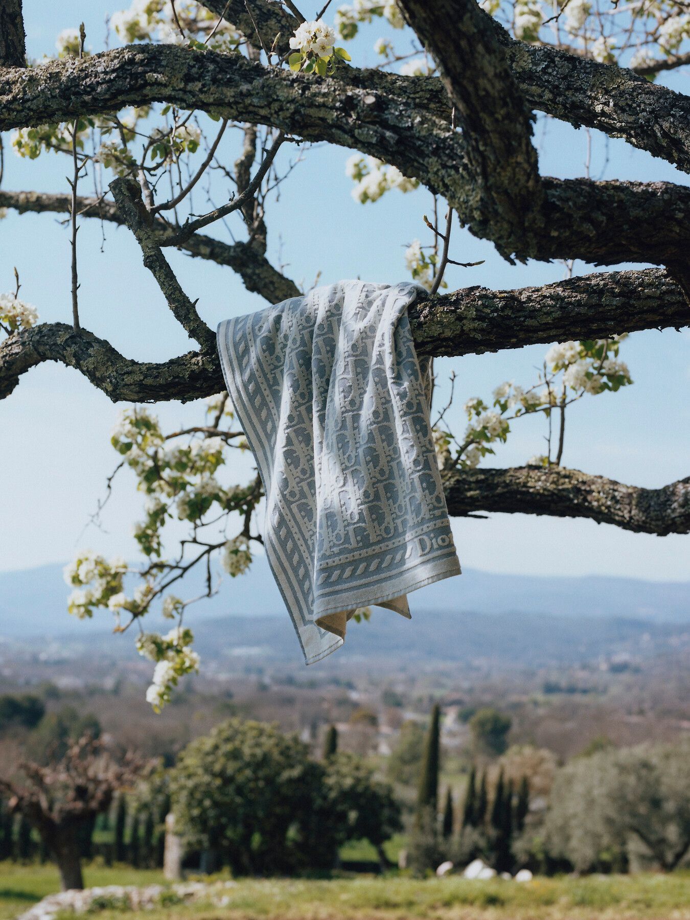 All products - TEXTILE - Maison | DIOR US