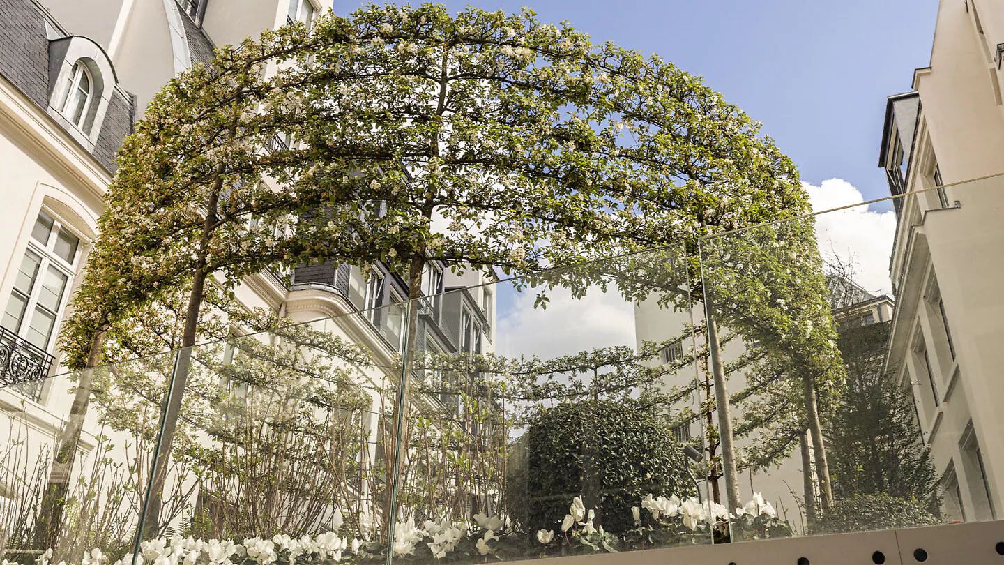 Garden Setup Example THE GARDENS | DIOR FI