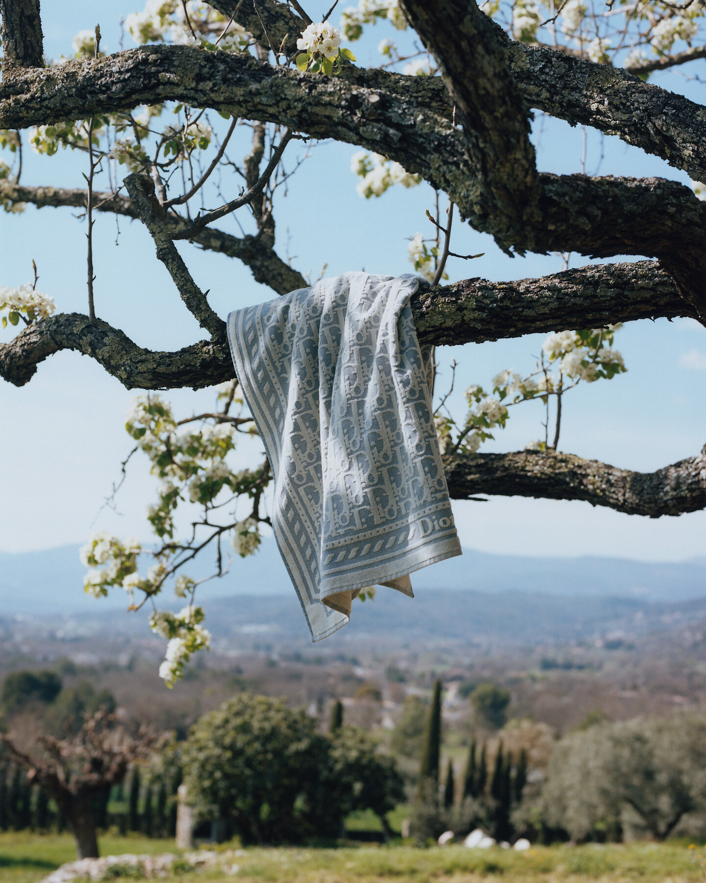 Long-Sleeved T-Shirt, Oversized Fit Blue Striped Cotton Knit | DIOR LV
