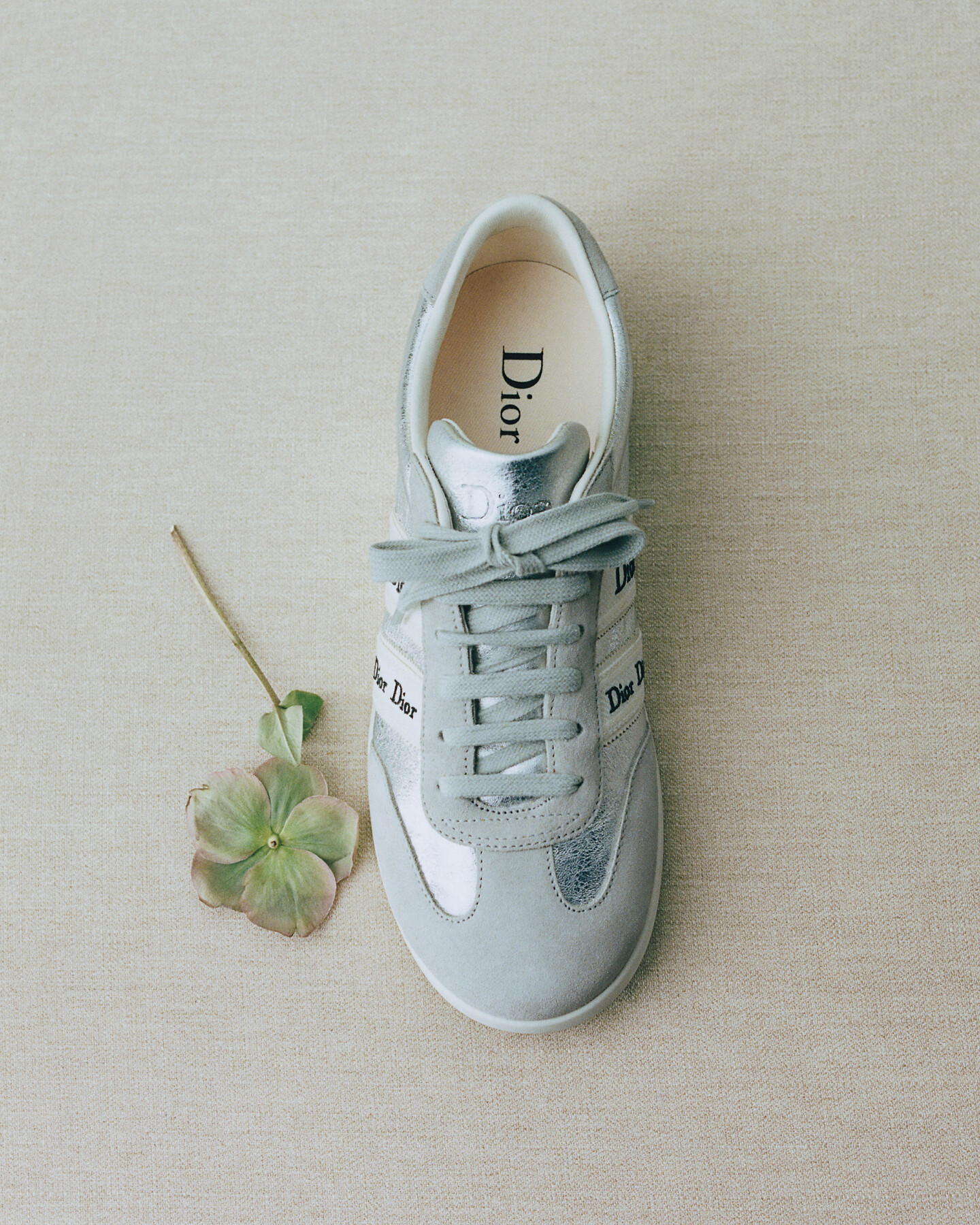 Dior Qixi Dior Saltwind Sneaker Multicolor Dior Oblique Pastel