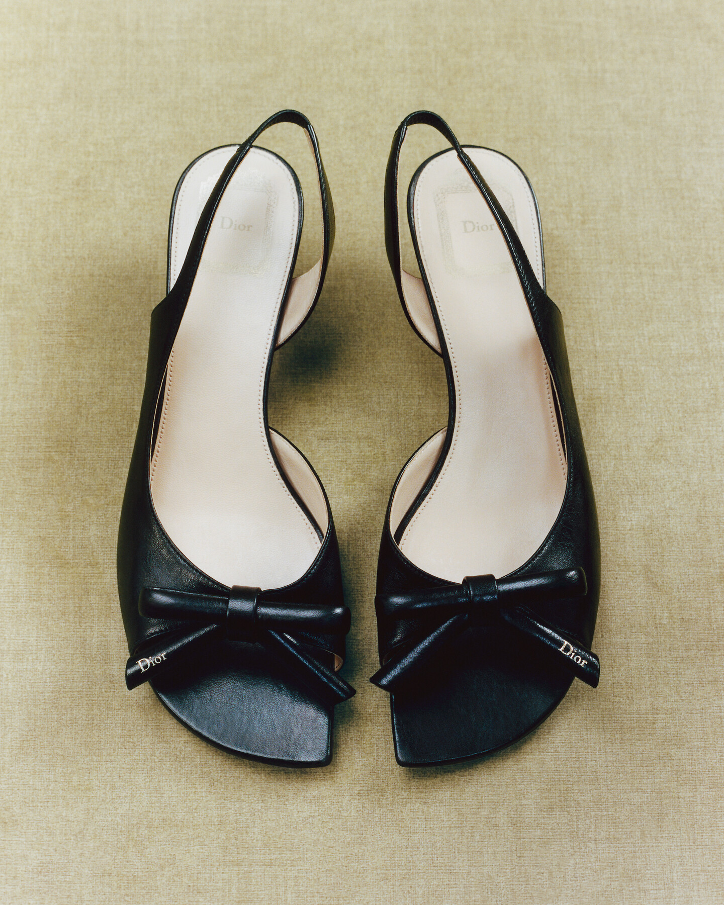 InDior Mule Black Suede Calfskin | DIOR US